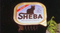 Sheba Case Study